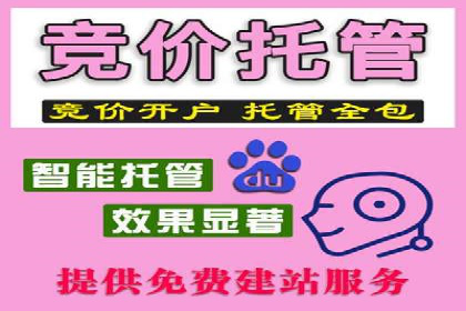 揭秘SEM托管公司案例：转化率大幅提升